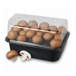 Braune Champignons